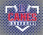 LYB Canes Baseball Fleece Blanket