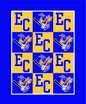 East Canton Hornets Baseball Fleece Blanket